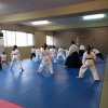 Aikido 2016 Kids