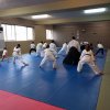 Aikido 2016 Kids