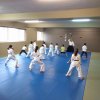 Aikido 2016 Kids