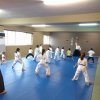 Aikido 2016 Kids